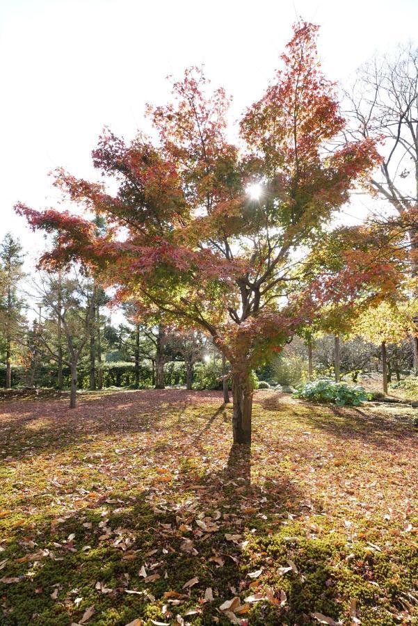 Japaning Senkyu Villa Kiotó Kültér fotó