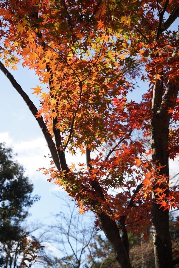 Japaning Senkyu Villa Kiotó Kültér fotó